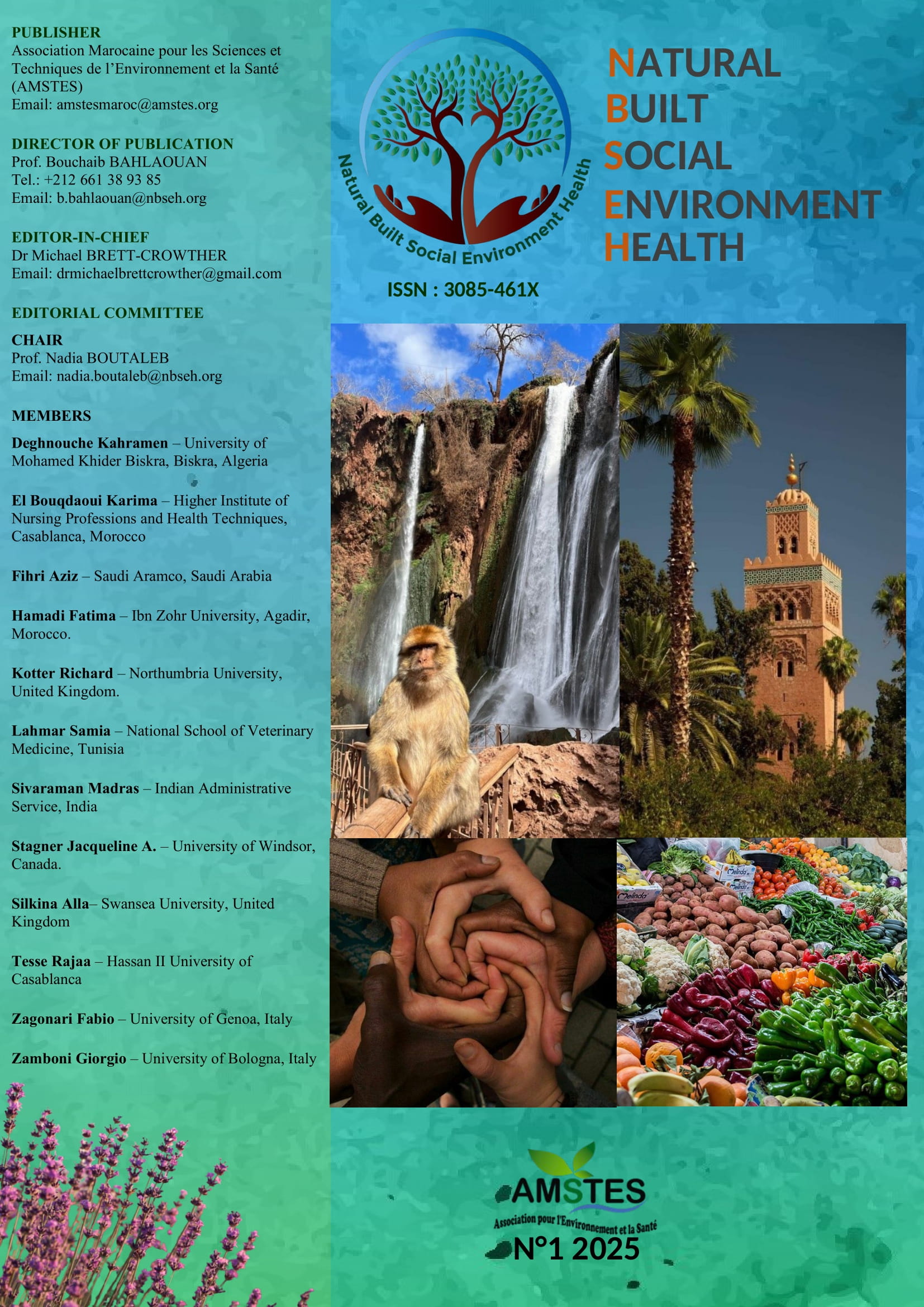 					View Vol. 1 No. 1 (2025): Volume 1 Issue 1 2025
				