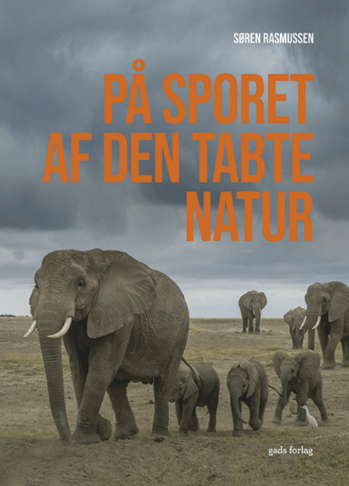 Biodiversity loss, human impacts, and pathways to sustainable nature conservation