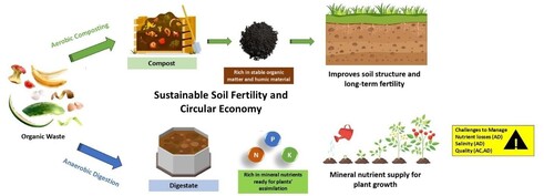 Organic waste management is necessary.  Digestates and compost are very valuable products. Compost, which is the output of the aerobic composting process, gives a final material rich in stable organic matter and humic compounds. Digestate, a byproduct of anaerobic digestion, offers a mineral-rich substance that is ready for plant absorption. Over time, the stable organic matter in the compost helps to increase soil fertility and structure. The digestate content supplies a significant source of plants' rapid nutritional support. This quick release of nutrients might result in many environmental challenges, and so the application must be well managed