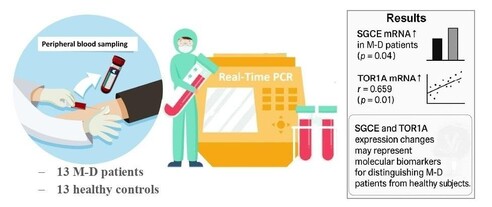 This study examined peripheral blood samples from patients with myoclonus–dystonia and healthy controls to profile mRNA expression of SGCE and TOR1A. Using real-time PCR, we identified significant overexpression of both genes in patients compared to controls, with a clear positive correlation between their expression levels. These findings indicate that SGCE and TOR1A expression changes may act as molecular biomarkers to distinguish affected patients from healthy subjects.
