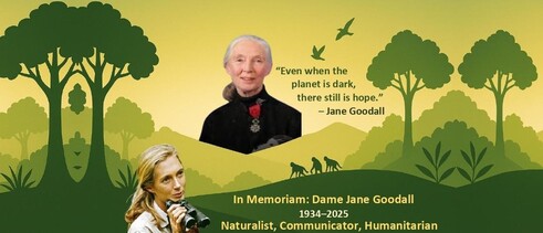 This In Memoriam stands as both a reflection and a farewell to Dame Jane Goodall (1934–2025) — naturalist, communicator, and humanitarian. The graphical tribute, bathed in quiet greens and golds, evokes her lifelong harmony with the natural world and her message of hope when the planet seems dark. Goodall was not simply an observer of chimpanzees in Gombe but a reconciler of species, a woman who bridged the emotional distance between human beings and nature. Her gaze, her silence, and her patience became instruments of revelation. We recall her courage to challenge the hierarchies of science, her compassion and her conviction that change begins with daily acts of care. The forest silhouettes and the rising light in the composition mirror the continuity of her work — a reminder that, as she said, “Even when the planet is dark, there still is hope.”